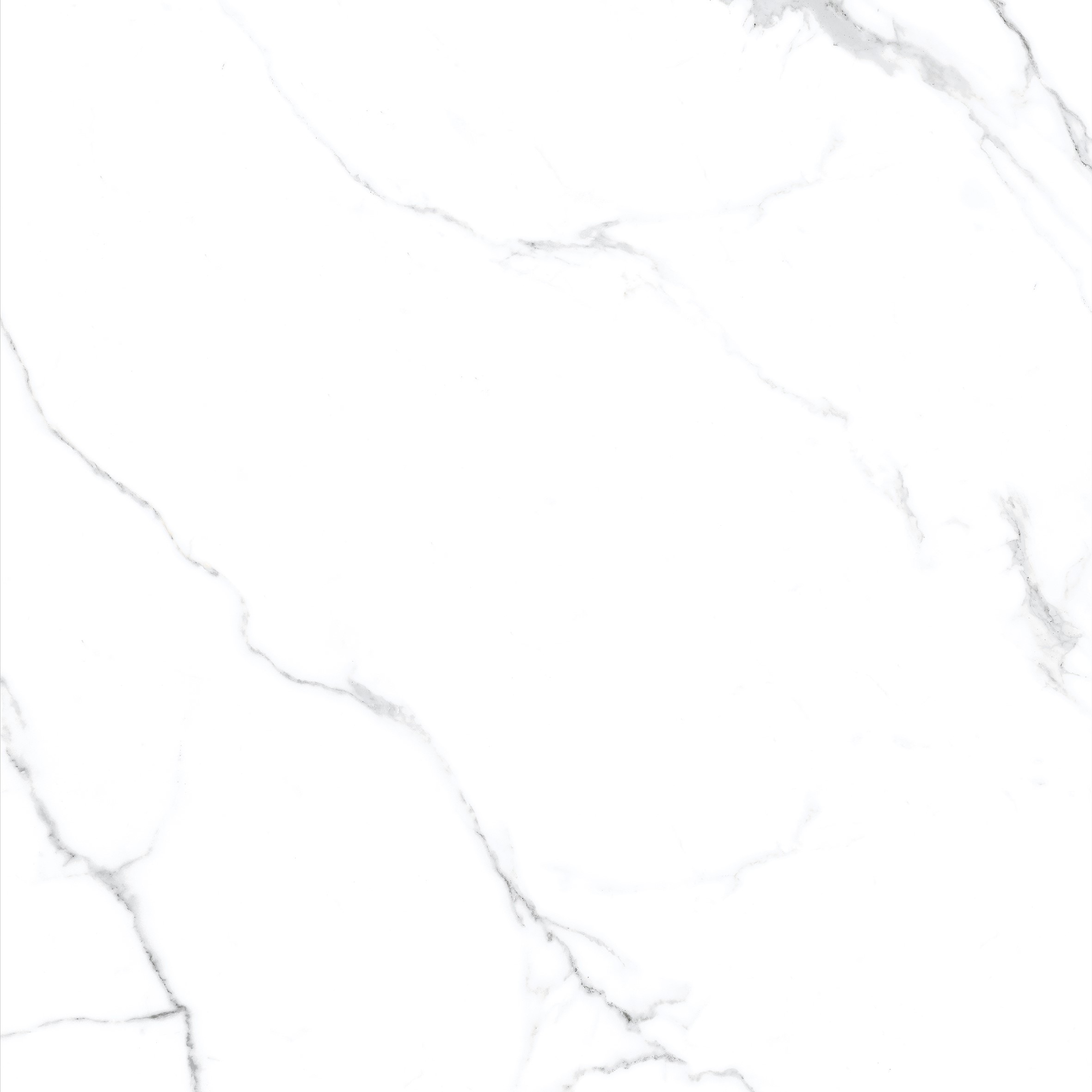 Керамогранит Эвон Статуарио/Evon Statuario 60x60 (Glossy+ Matt )